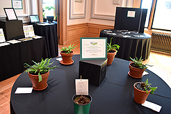 TIMELESS TACOMA TREASURES